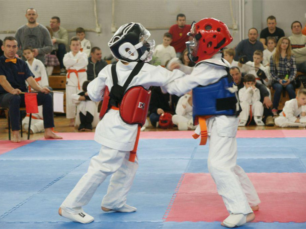 I Ogólnopolski Turniej Karate Kyokushin w Kąkolewnicy