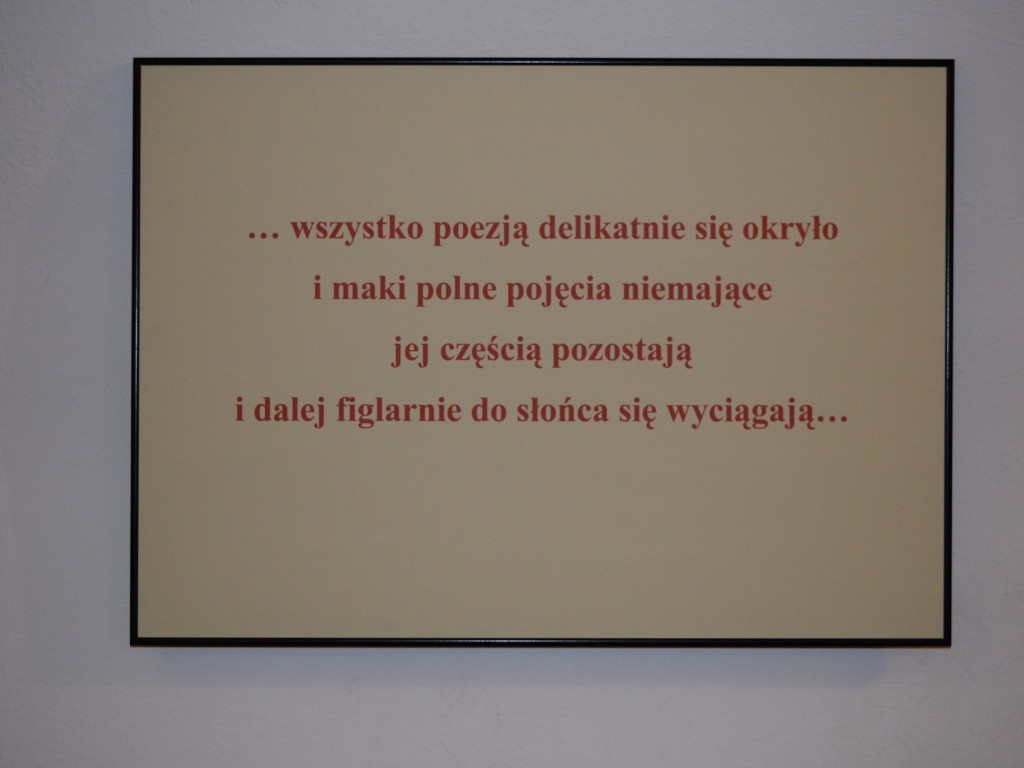 Ulotne maki na fotografiach - otwarcie wystawy