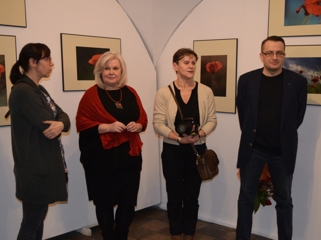 Ulotne maki na fotografiach - otwarcie wystawy