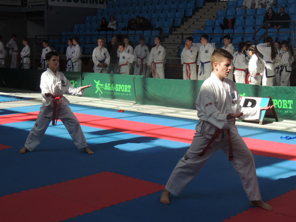 Radzyńskie Sportowe Centrum Taekwon-do Najlepszym Klubem!