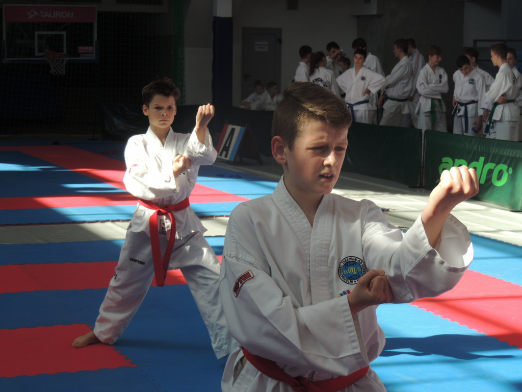 Radzyńskie Sportowe Centrum Taekwon-do Najlepszym Klubem!