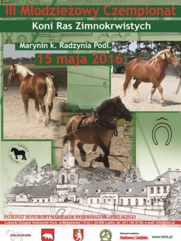 Zapowiada się dobry weekend