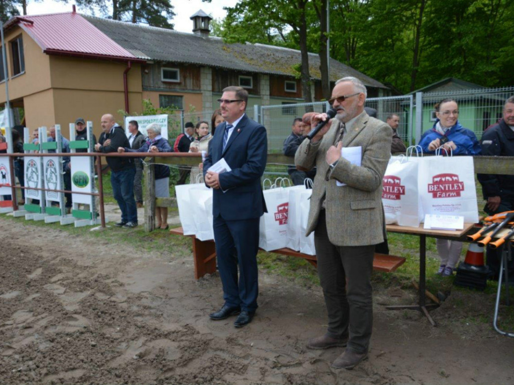 W Maryninie podziwiano i nagrodzono najlepsze konie