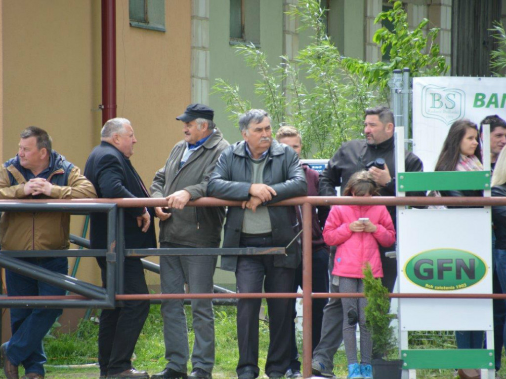 W Maryninie podziwiano i nagrodzono najlepsze konie