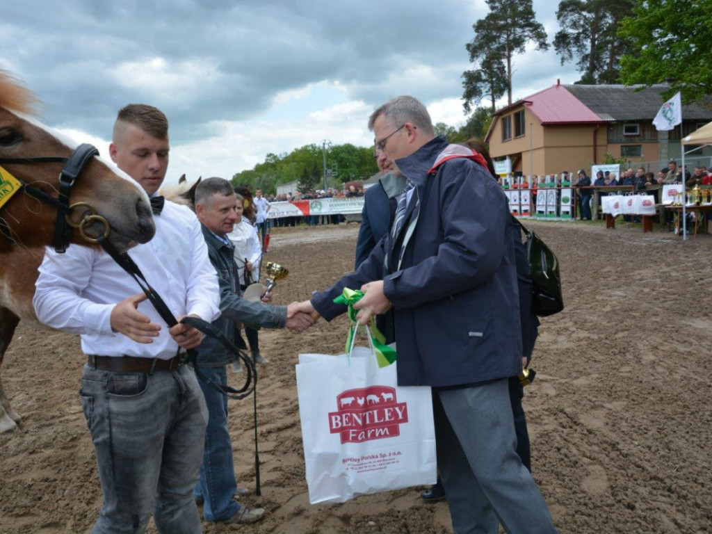W Maryninie podziwiano i nagrodzono najlepsze konie