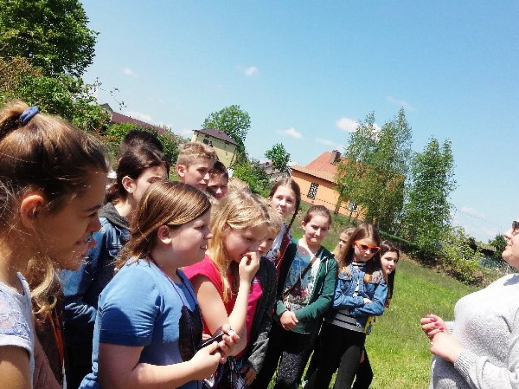 Uczniowie Szkoły Podstawowej Nr 1 na wycieczce w roku Sienkiewicza