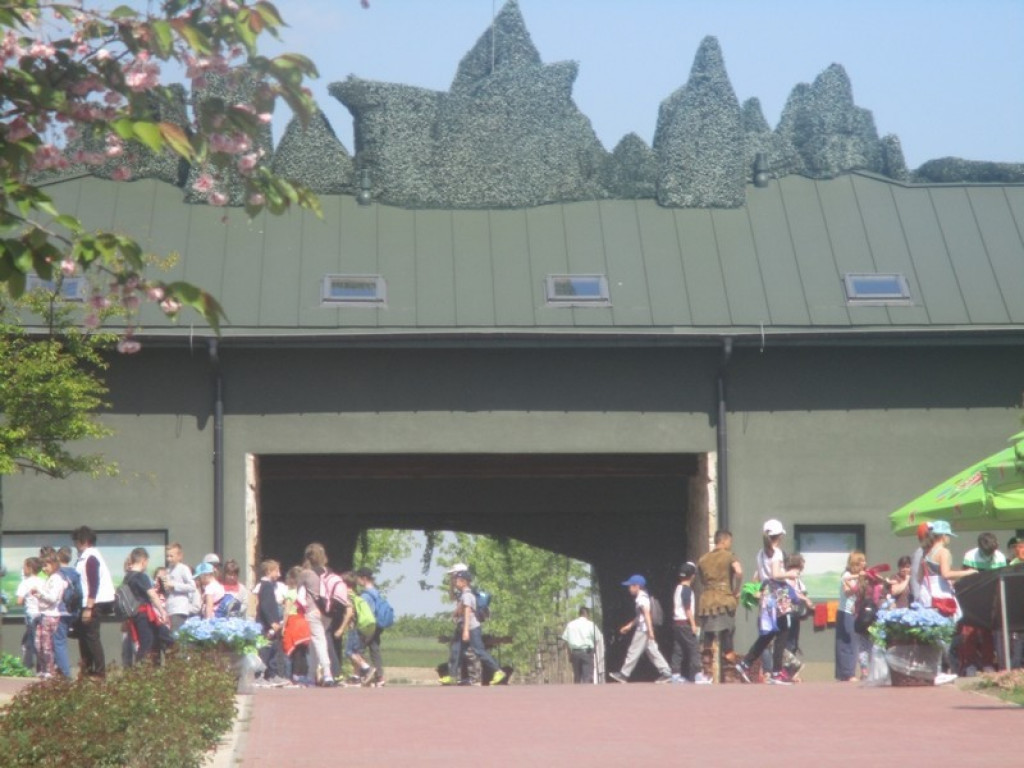 Uczniowie SP Nr 1 na wycieczce w Magicznych Ogrodach