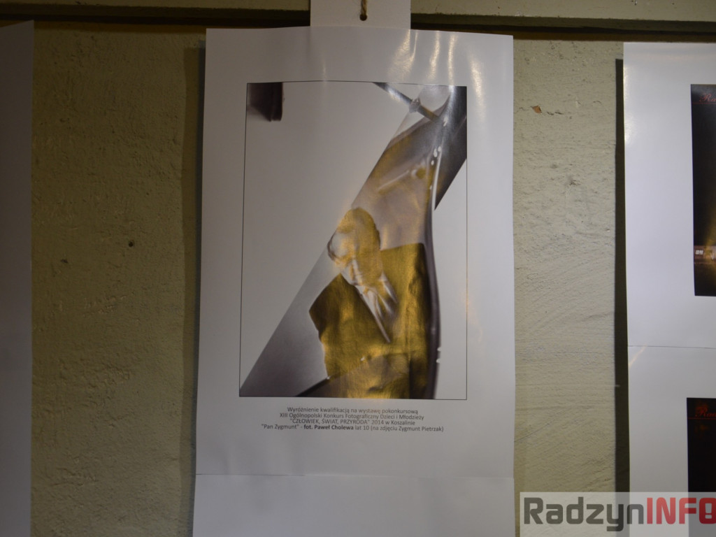 5 lat zoomików