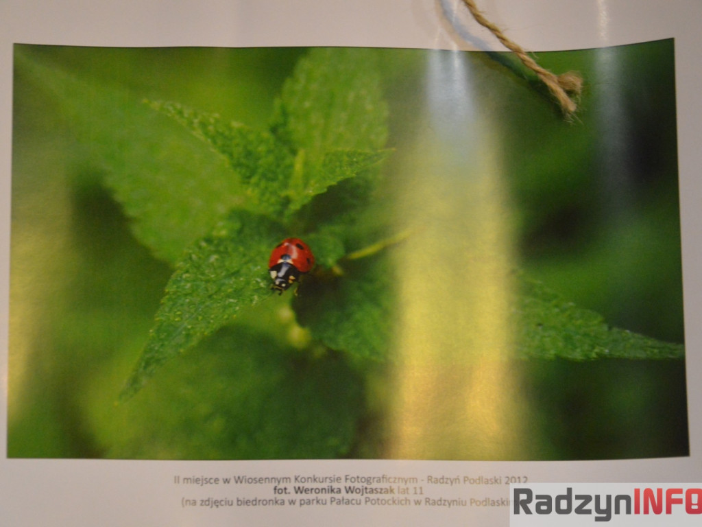 5 lat zoomików