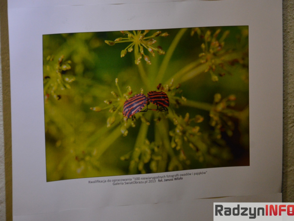 5 lat zoomików