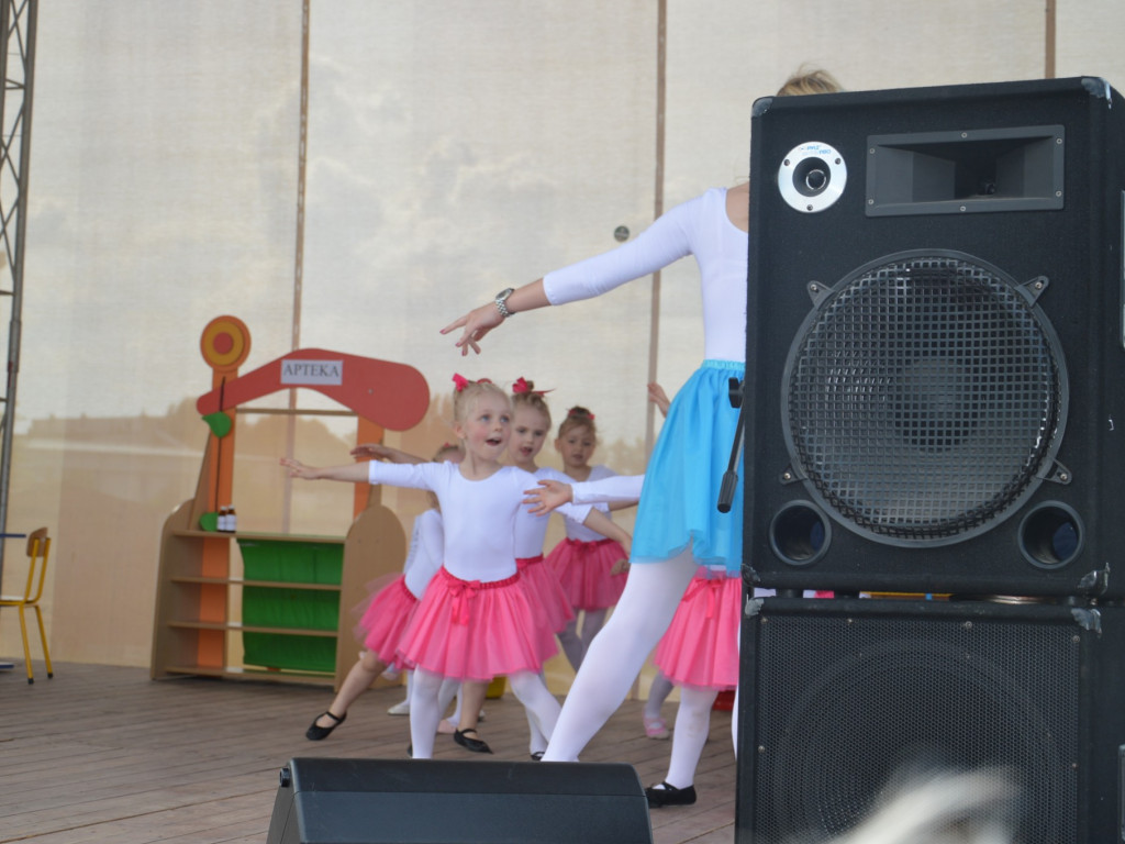 Piknik na Jagiellończyka