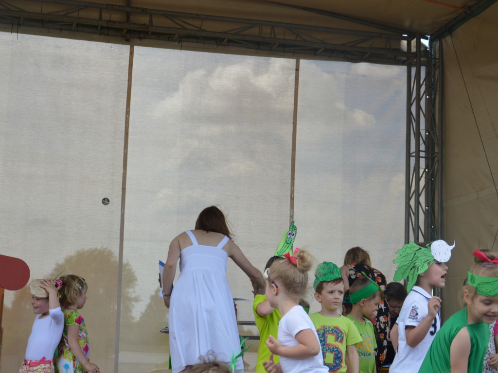 Piknik na Jagiellończyka