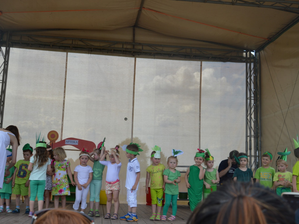 Piknik na Jagiellończyka