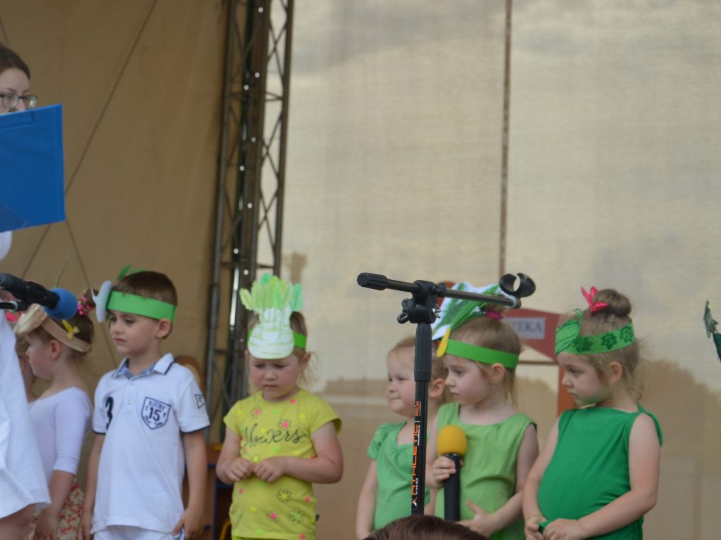 Piknik na Jagiellończyka