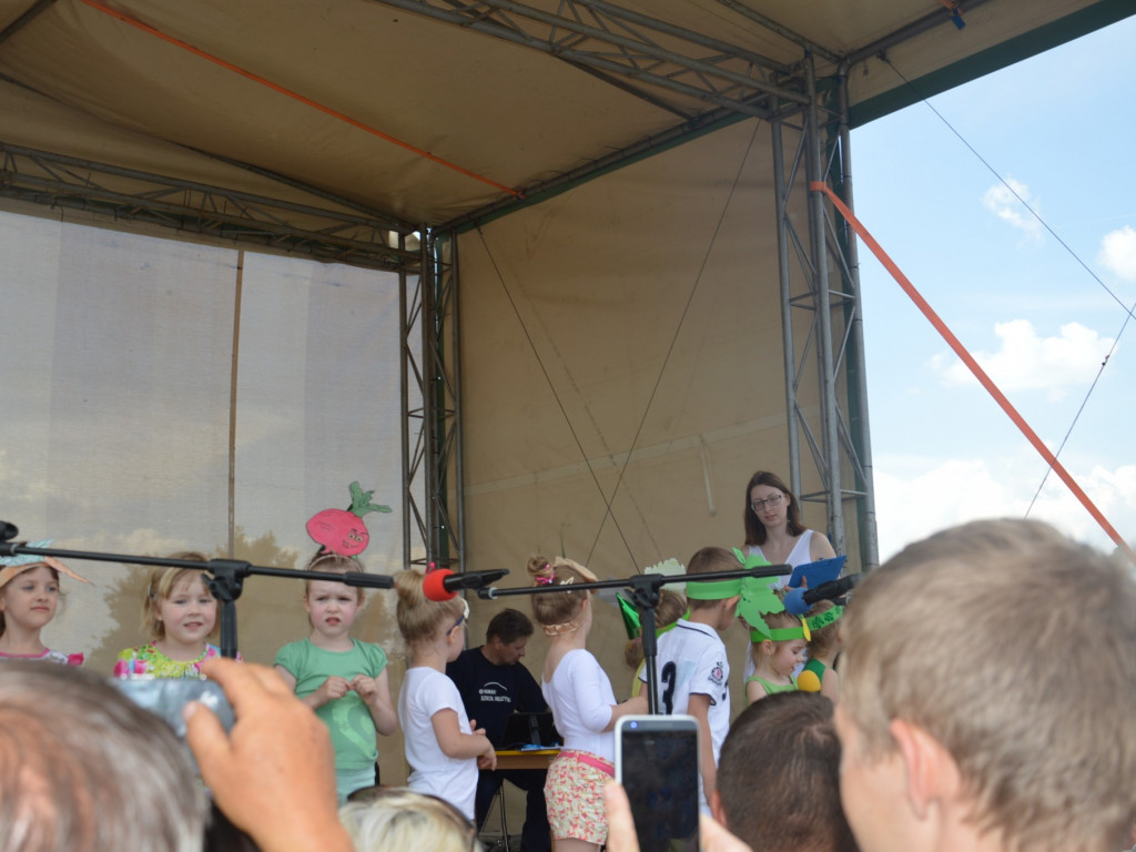 Piknik na Jagiellończyka