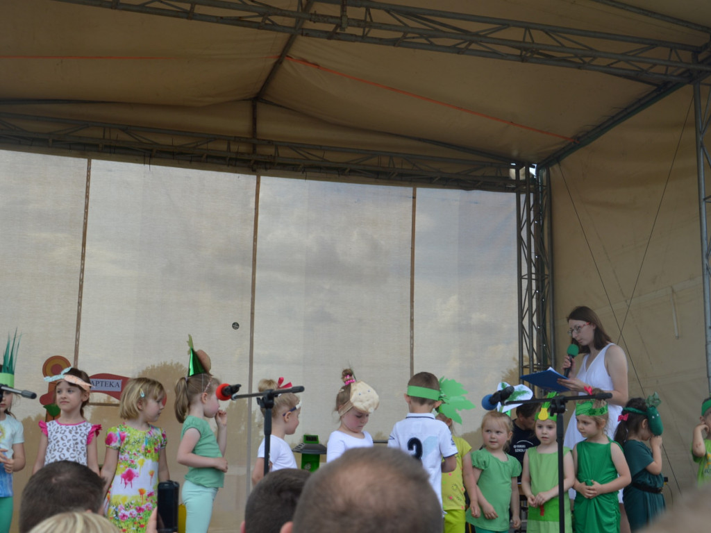 Piknik na Jagiellończyka