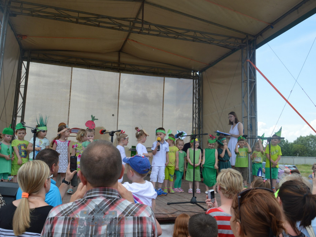Piknik na Jagiellończyka