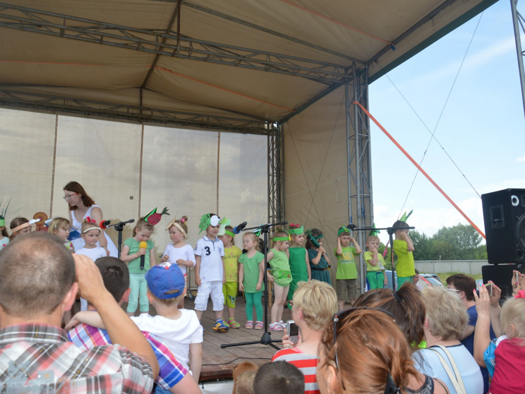 Piknik na Jagiellończyka