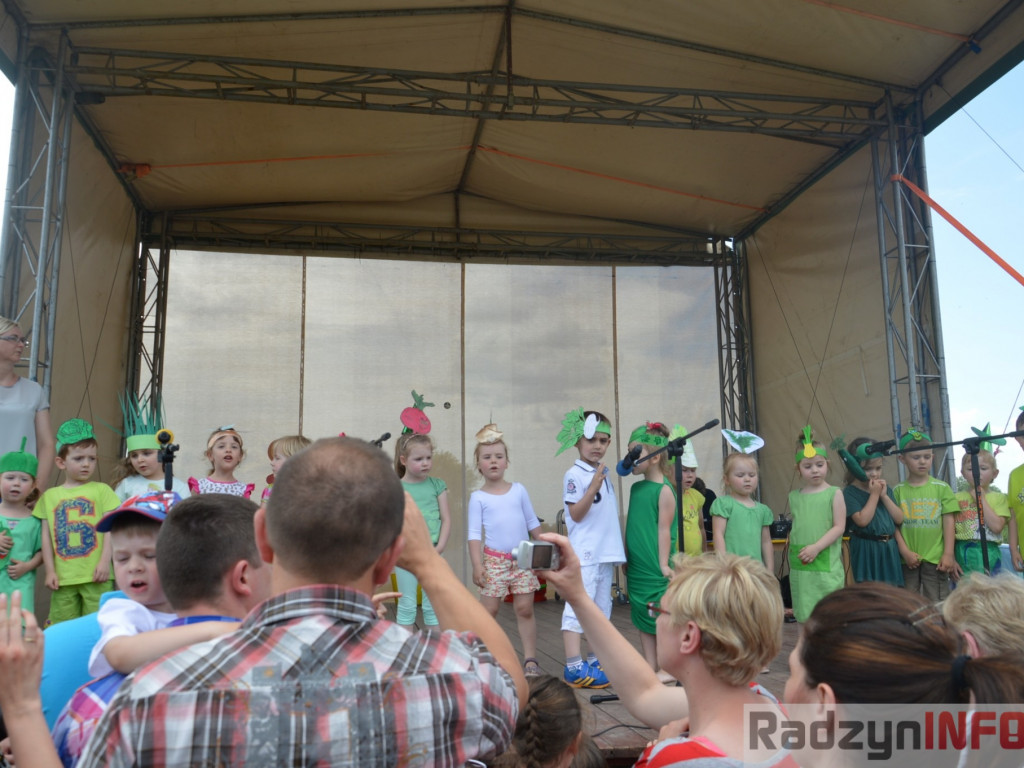 Piknik na Jagiellończyka