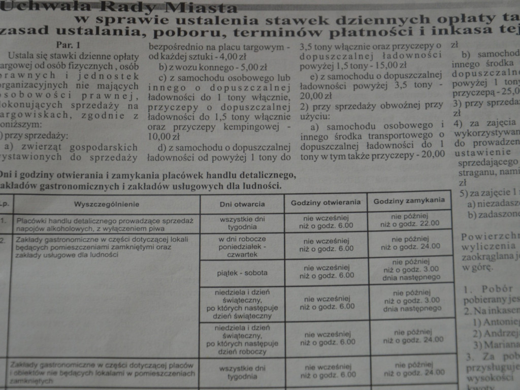 Radzyń 2003 na łamach 