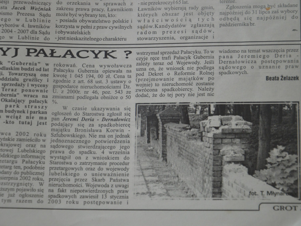 Radzyń 2003 na łamach 