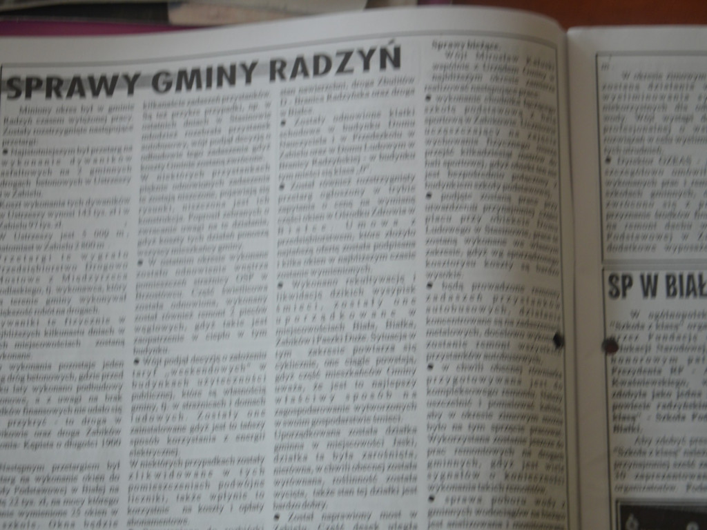 Radzyń 2003 na łamach 
