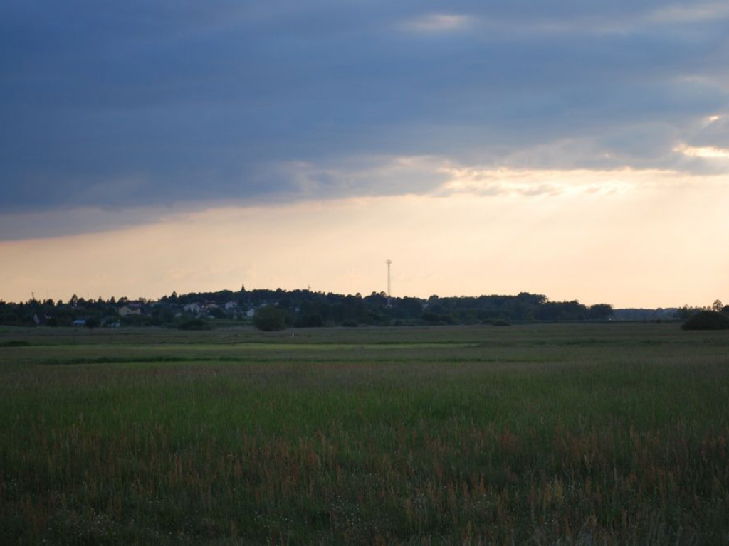 Sukces gimnazjalistów ZPO z Bork