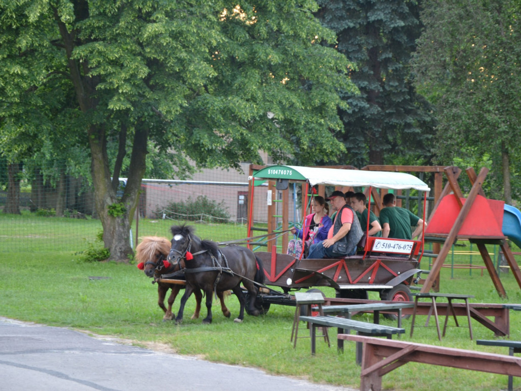 VIII Integracyjny Zlot Drużyn Harcerskich 