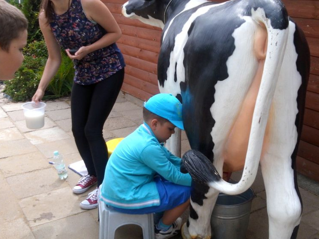 Uczniowie z Bork w Krainie Przygód