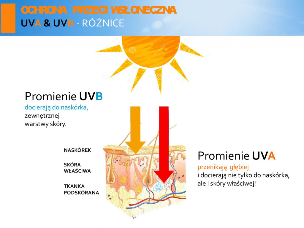 Na UTW o zdrowiu
