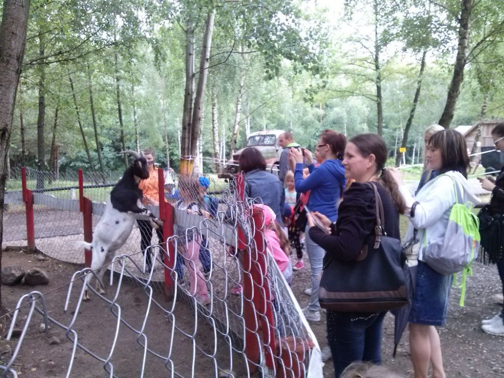 Uczniowie z Bork na Farmie Iluzji