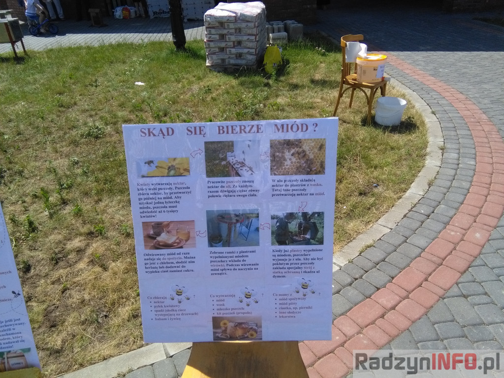 Pszczelarska niedziela