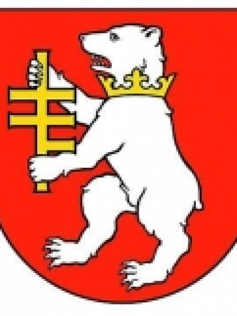 Radzyniacy za zawodach 