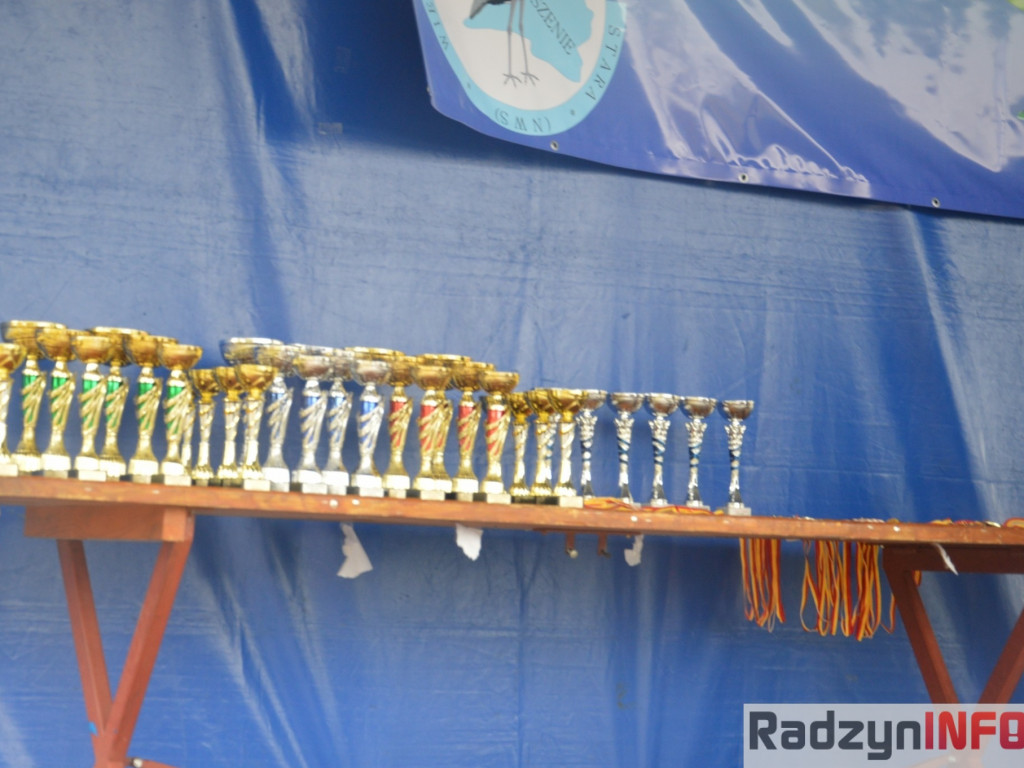 Festyn sportowo-rekreacyjny w Starej Wsi