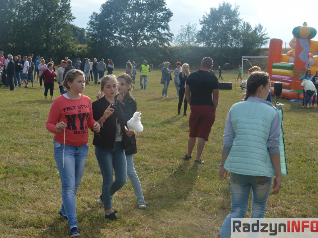 Festyn sportowo-rekreacyjny w Starej Wsi