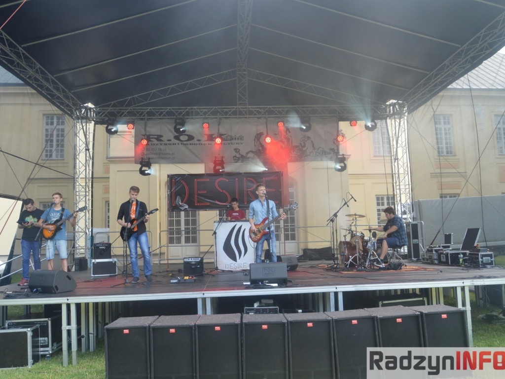 Pierwsza odsłona Dni Radzynia