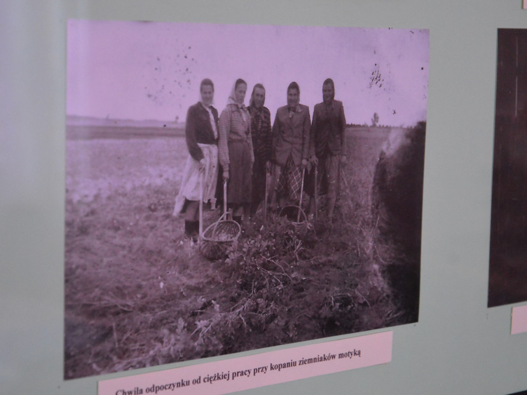 Muzeum Regionalne w Woli Osowińskiej