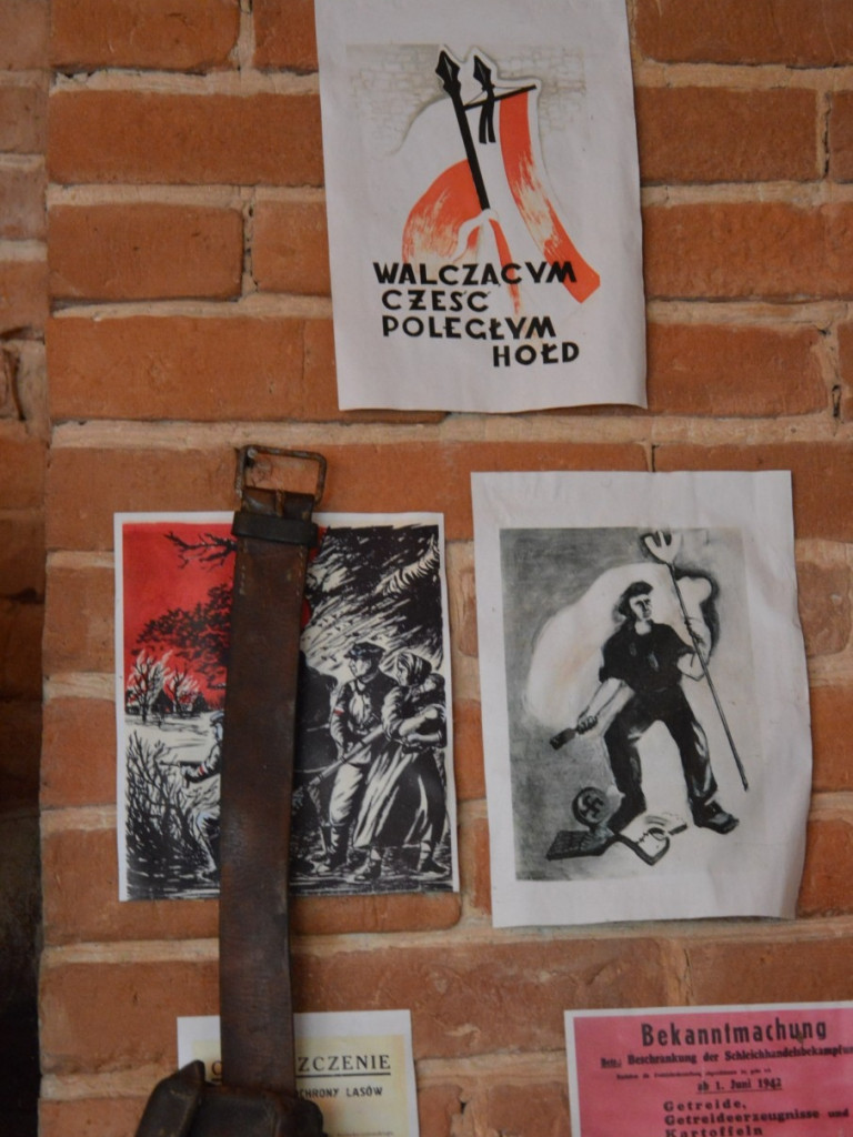 Muzeum Regionalne w Woli Osowińskiej