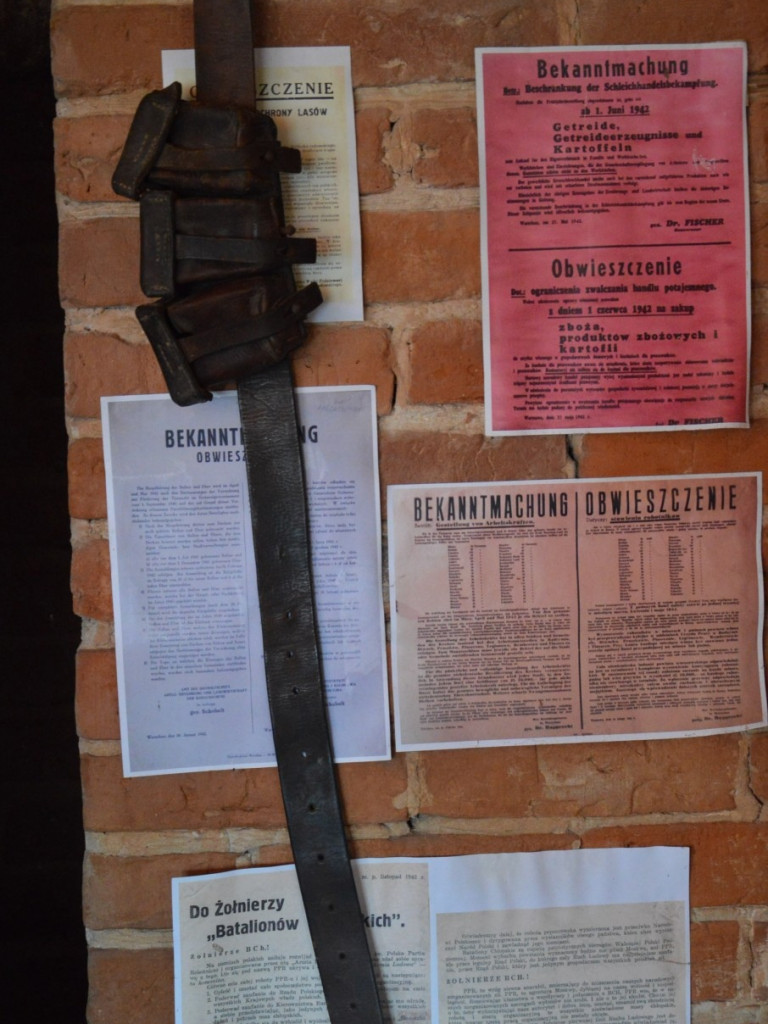 Muzeum Regionalne w Woli Osowińskiej