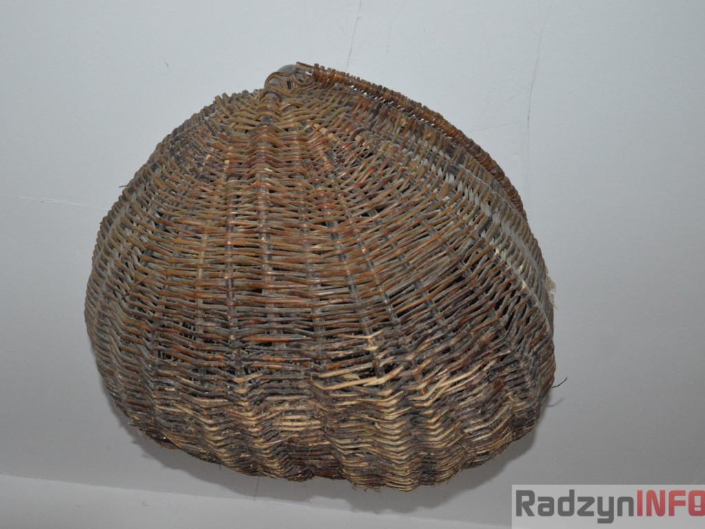 Muzeum Regionalne w Woli Osowińskiej
