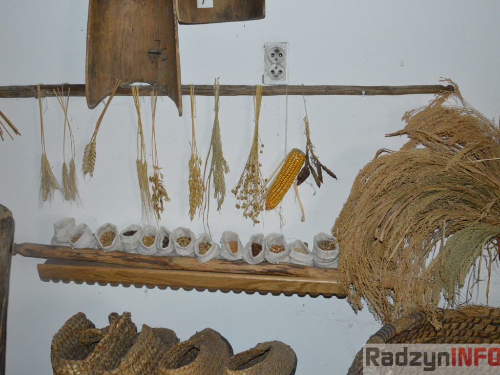 Muzeum Regionalne w Woli Osowińskiej