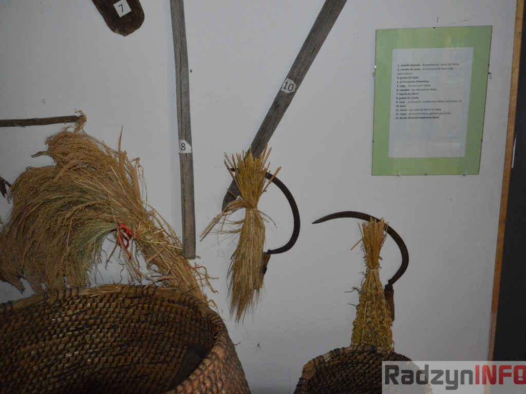Muzeum Regionalne w Woli Osowińskiej