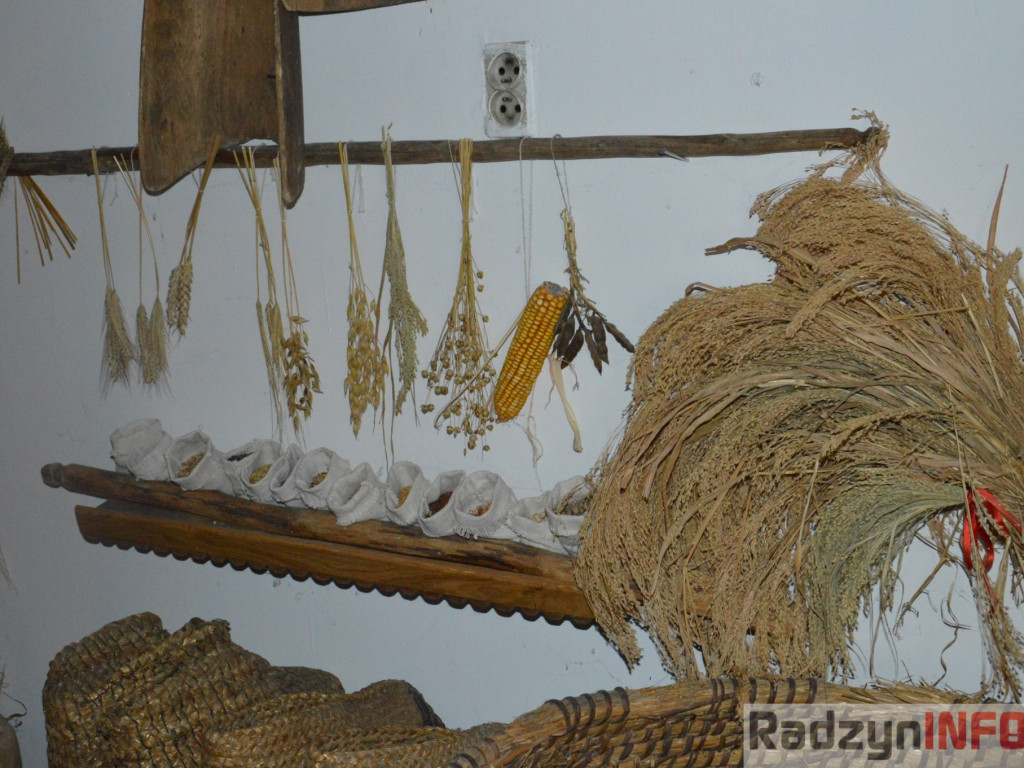 Muzeum Regionalne w Woli Osowińskiej