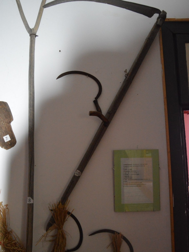 Muzeum Regionalne w Woli Osowińskiej