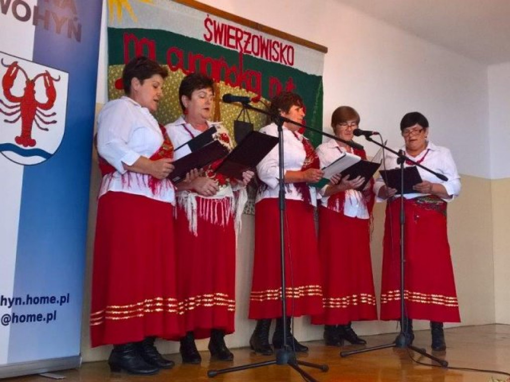 Świerżowisko 2016