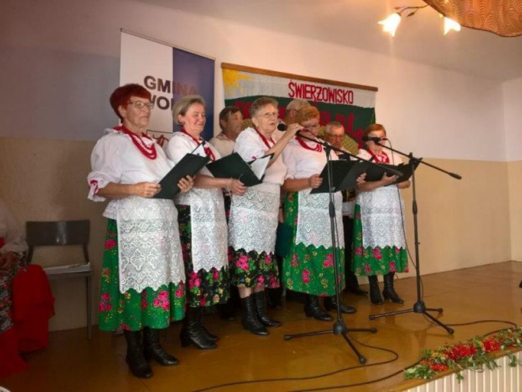Świerżowisko 2016