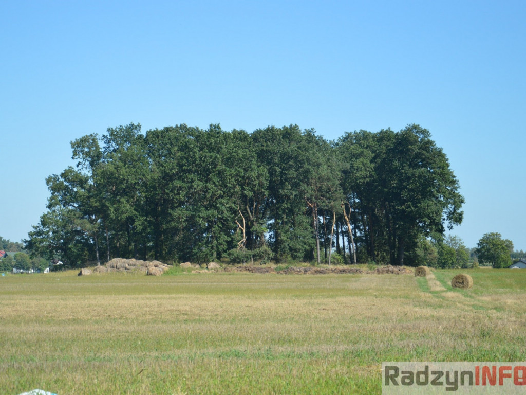 Osowińska natura