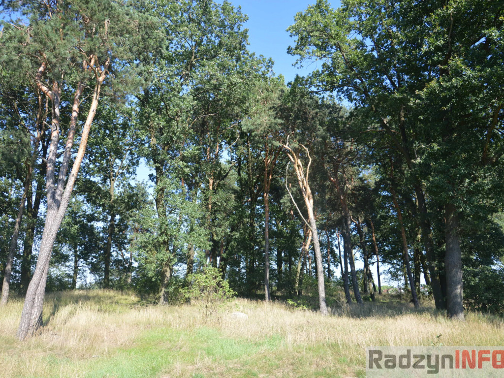 Osowińska natura