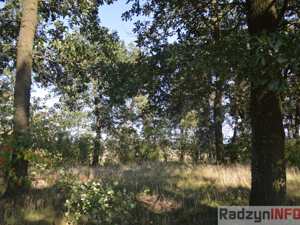 Osowińska natura