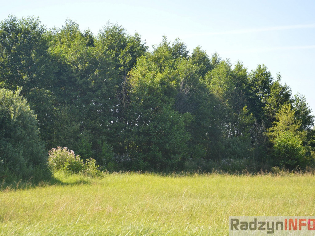 Osowińska natura